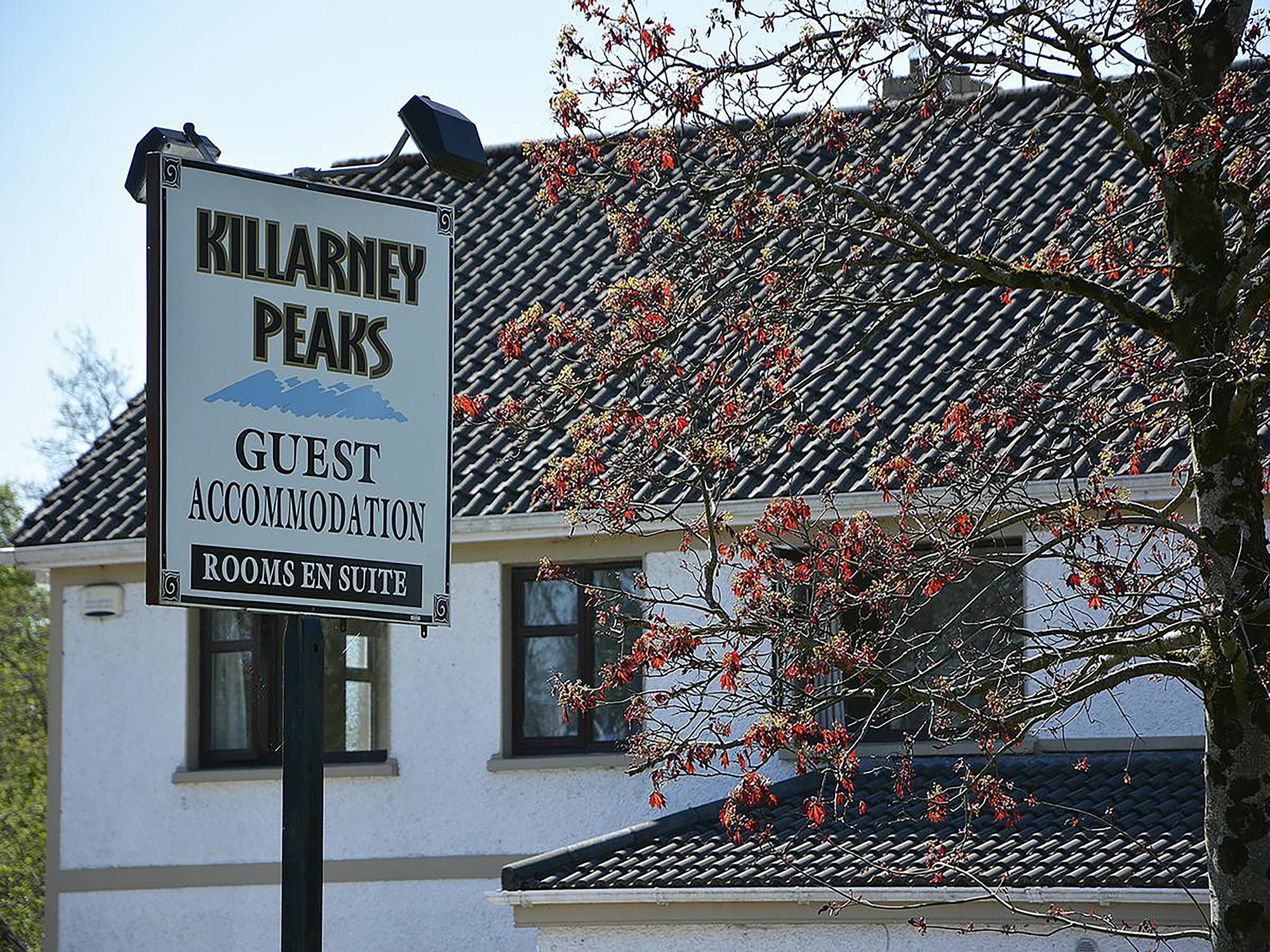 Killarney Peaks Guesthouse Eksteriør bilde